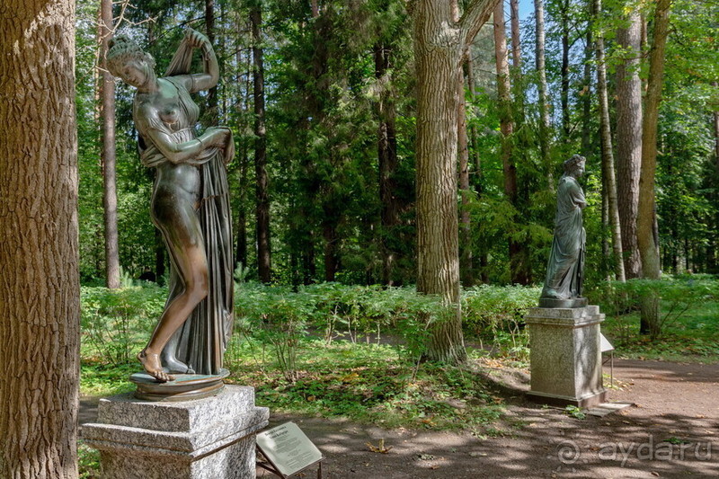 Петербуржские зарисовки. Павловск