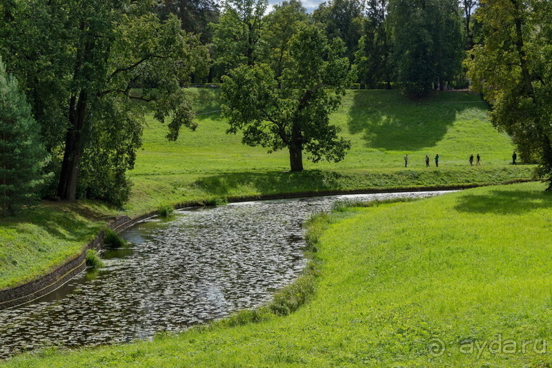 Петербуржские зарисовки. Павловск