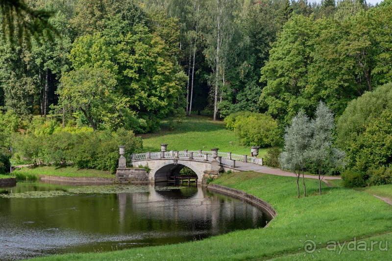 Петербуржские зарисовки. Павловск