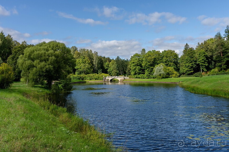 Петербуржские зарисовки. Павловск