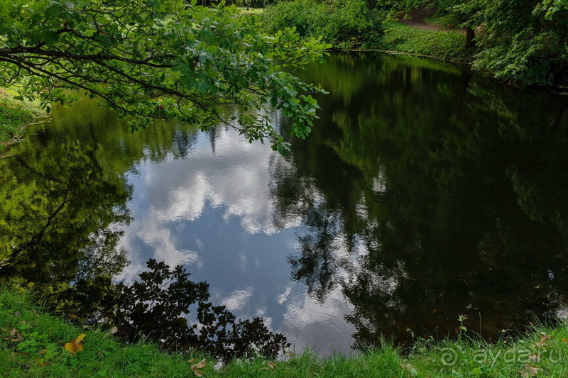 Петербуржские зарисовки. Павловск