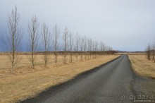 2226 километров по стране чудес. Исландия. Часть 2