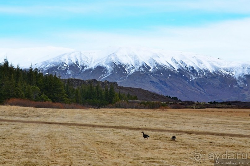 2226 километров по стране чудес. Исландия. Часть 2