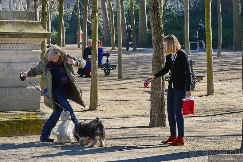 Лица Парижа