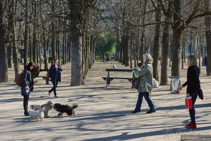 Лица Парижа