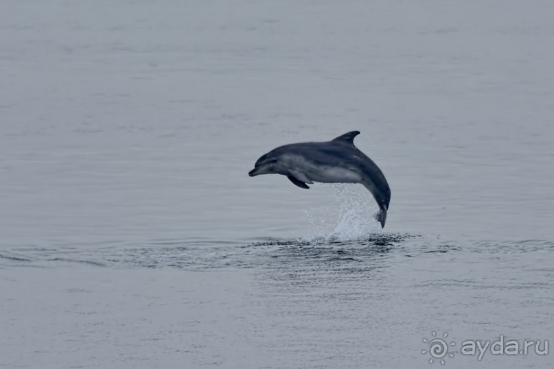 Прогулки из Стамбула. Принцевы острова - 1
