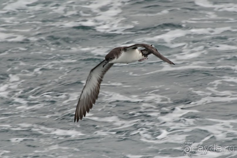 Прогулки из Стамбула. Принцевы острова - 1