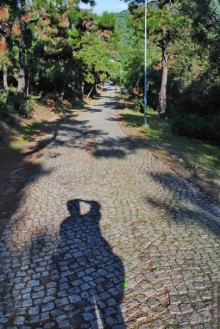 Прогулки из Стамбула. Принцевы острова - 1