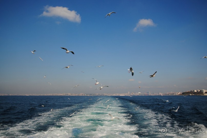 Прогулки из Стамбула. Принцевы острова - 1