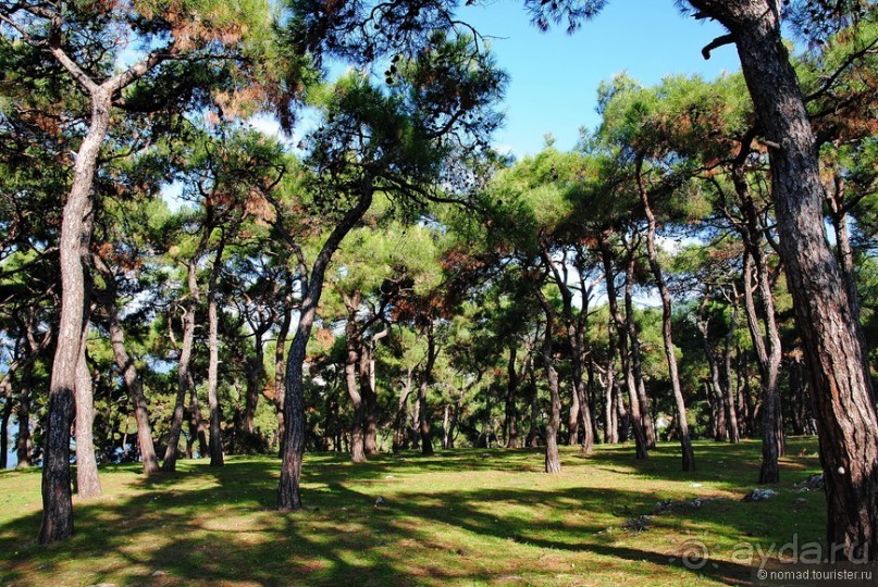 Прогулки из Стамбула. Принцевы острова - 1