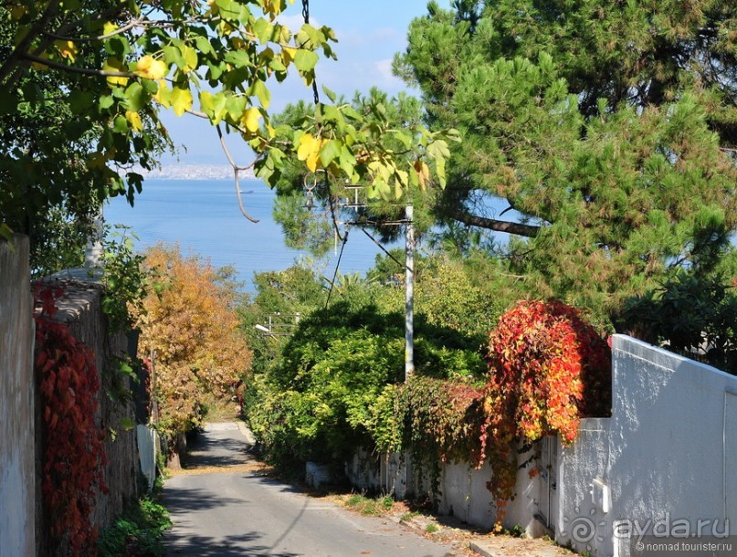 Прогулки из Стамбула. Принцевы острова - 1