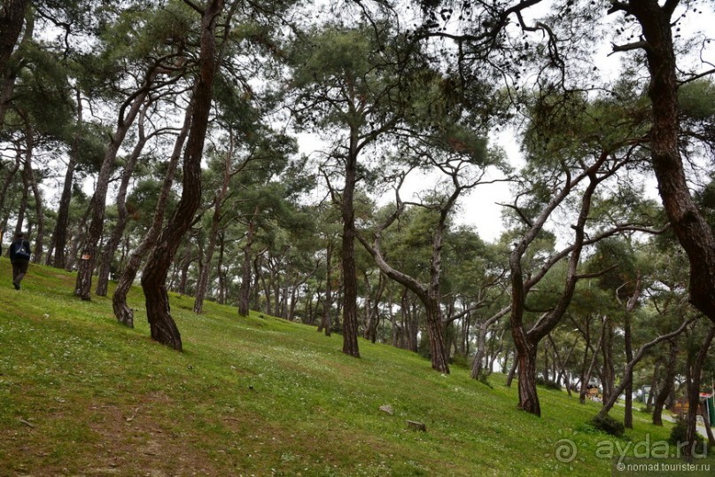 Прогулки из Стамбула. Принцевы острова - 1