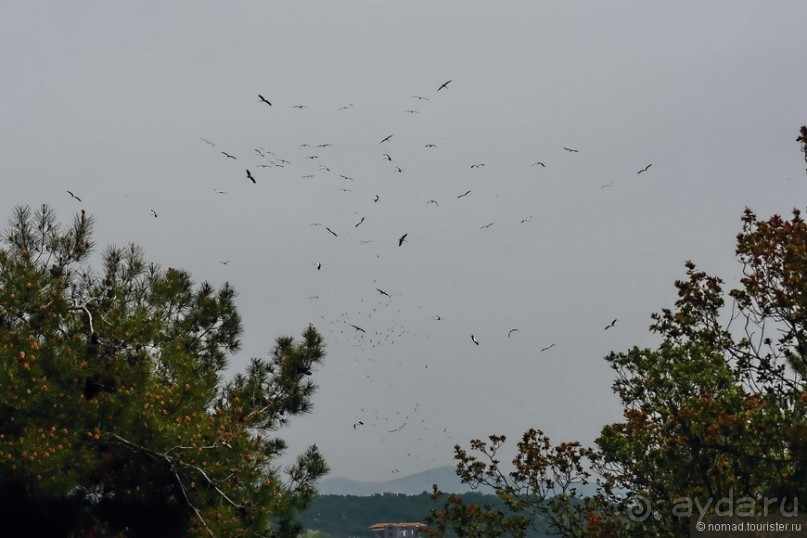 Прогулки из Стамбула. Принцевы острова - 1