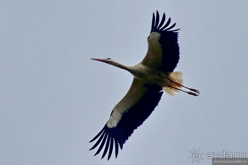 Прогулки из Стамбула. Принцевы острова - 1