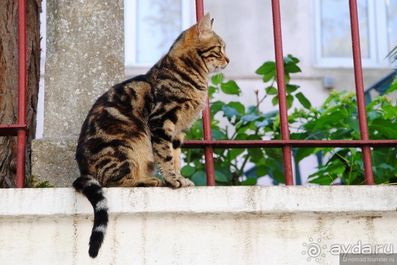 Прогулки из Стамбула. Принцевы острова - 1