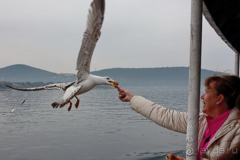 Прогулки из Стамбула. Принцевы острова - 1