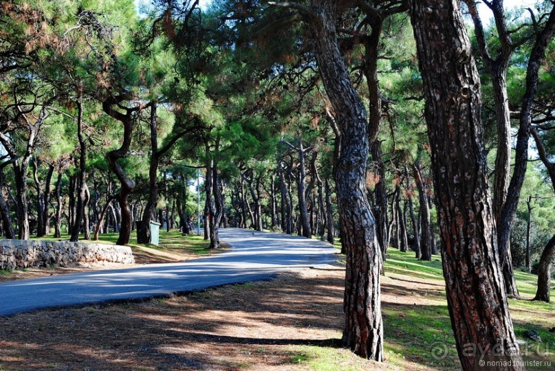 Прогулки из Стамбула. Принцевы острова - 1