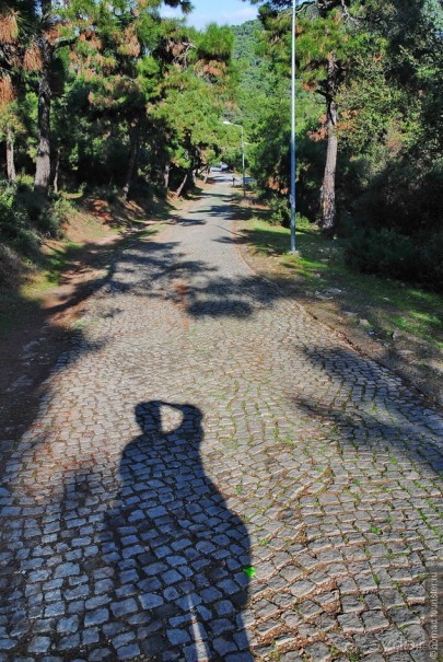 Прогулки из Стамбула. Принцевы острова - 1