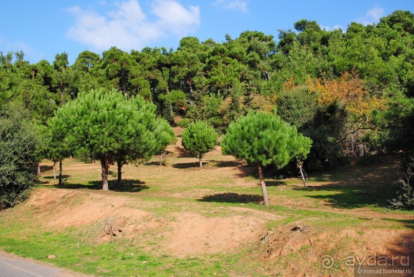 Прогулки из Стамбула. Принцевы острова - 1