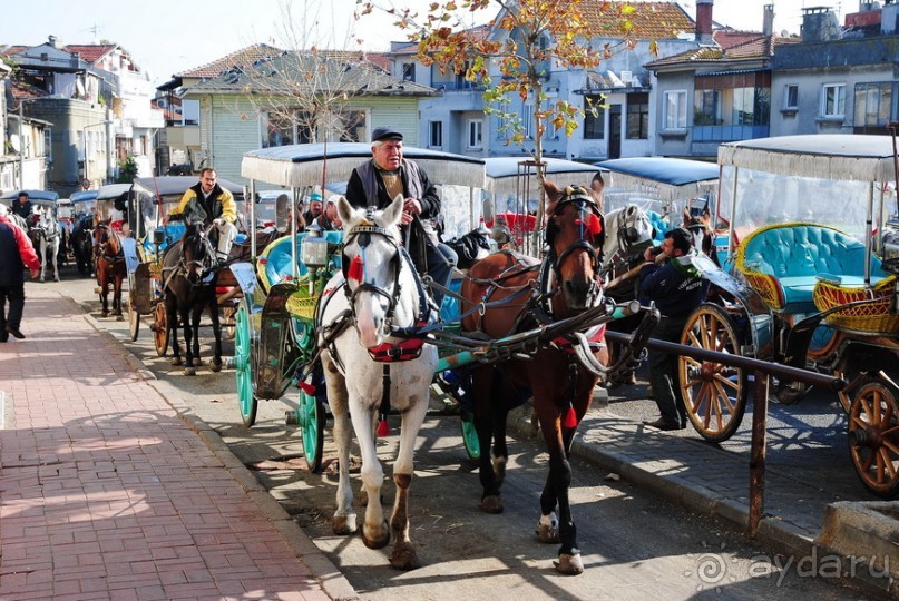 Прогулки из Стамбула. Принцевы острова - 1