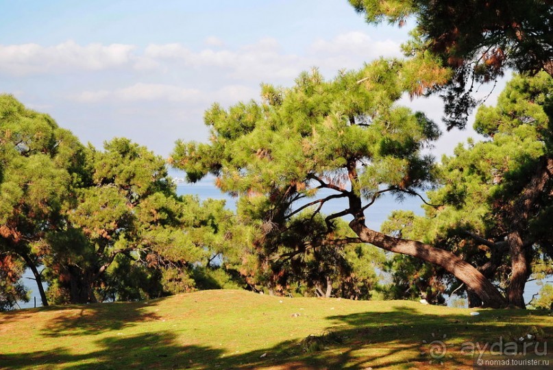 Прогулки из Стамбула. Принцевы острова - 1