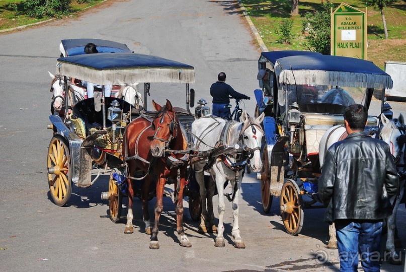 Прогулки из Стамбула. Принцевы острова - 1