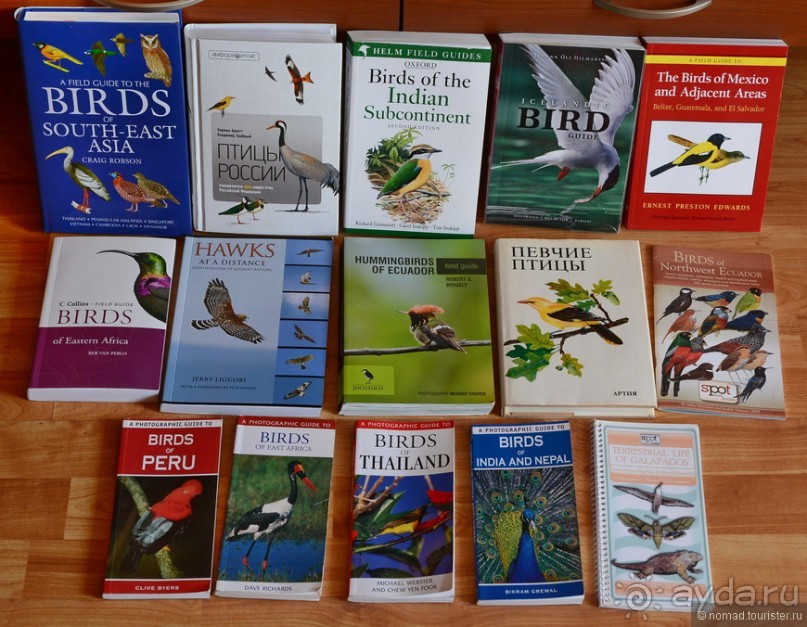 Птицы Южной Африки и Намибии. 4+бонус