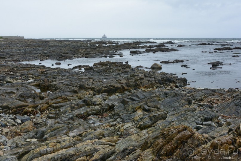 Птицы Южной Африки и Намибии. 4+бонус