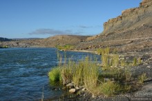 Птицы Южной Африки и Намибии. 4+бонус