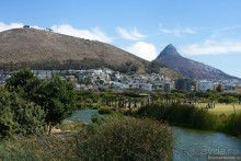 Птицы Южной Африки и Намибии. 4+бонус