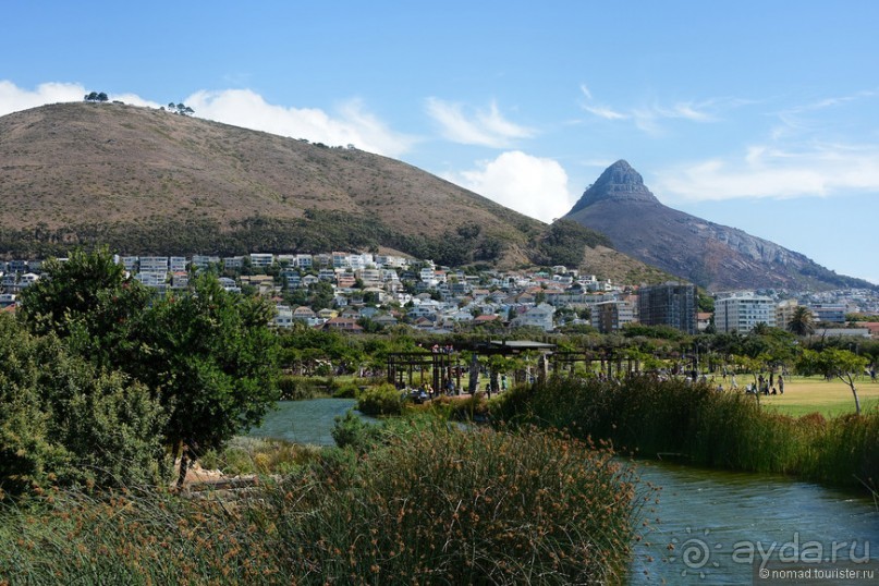 Птицы Южной Африки и Намибии. 4+бонус