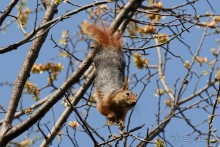 Прогулки по Стамбулу. Парки