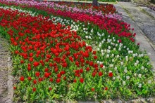 Прогулки по Стамбулу. Парки