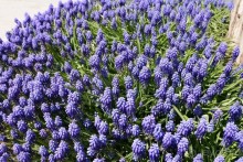 Прогулки по Стамбулу. Парки