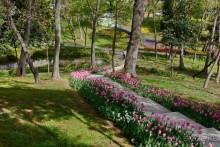 Прогулки по Стамбулу. Парки