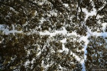 Прогулки по Стамбулу. Парки