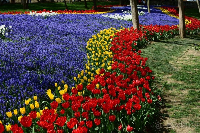 Прогулки по Стамбулу. Парки