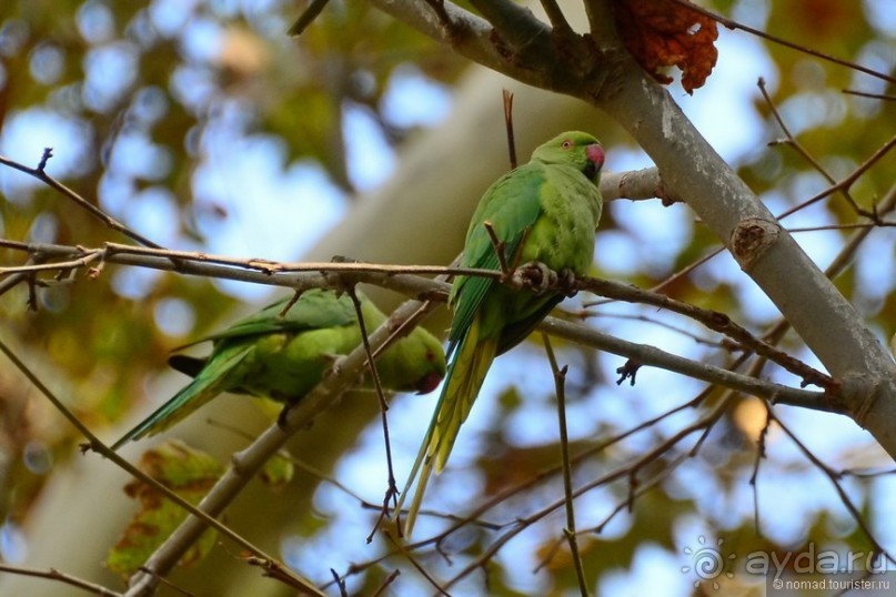 Прогулки по Стамбулу. Парки