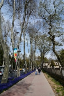 Прогулки по Стамбулу. Парки