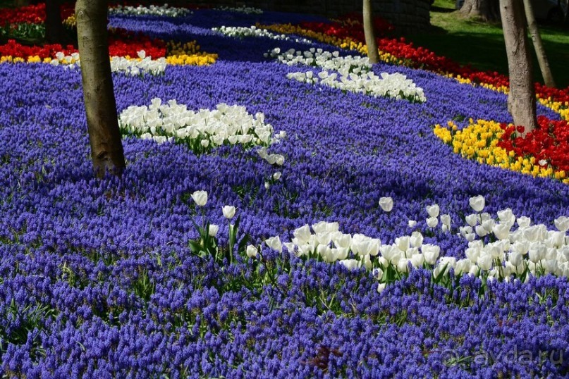 Прогулки по Стамбулу. Парки