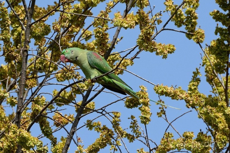 Прогулки по Стамбулу. Парки