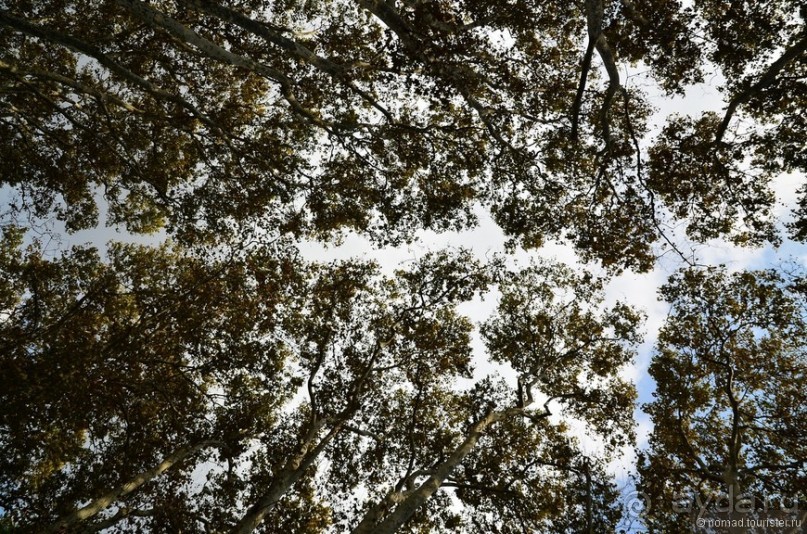 Прогулки по Стамбулу. Парки