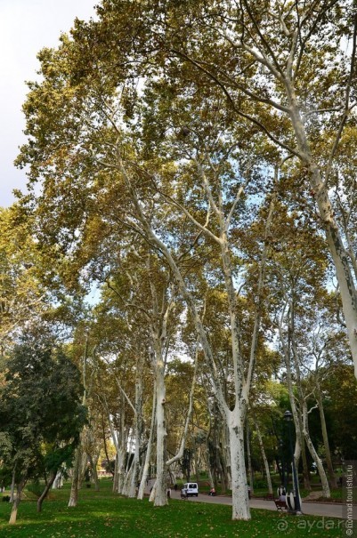 Прогулки по Стамбулу. Парки