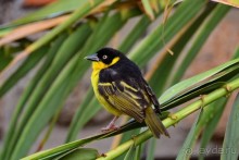 Акуна матата — дубль два. Кения в сезон дождей. Часть 2