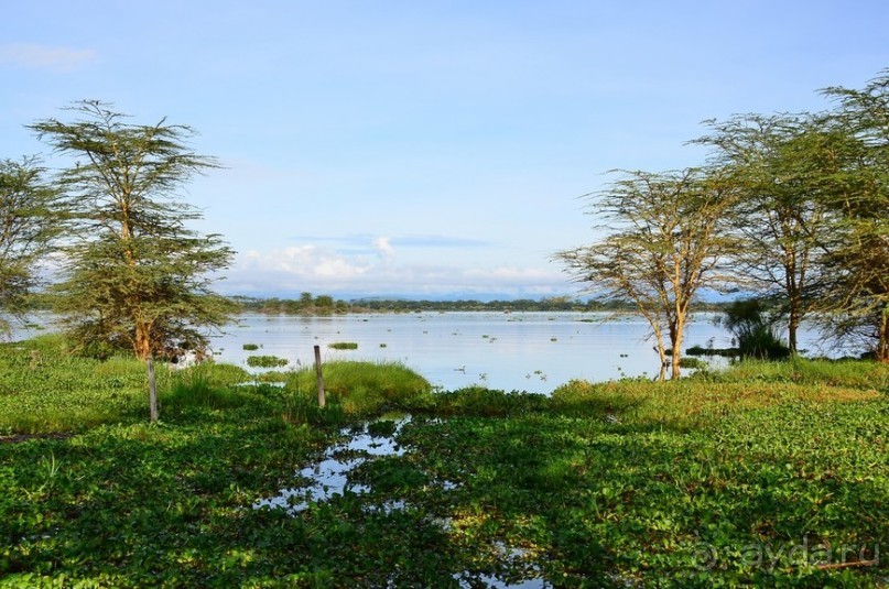Акуна матата — дубль два. Кения в сезон дождей. Часть 2
