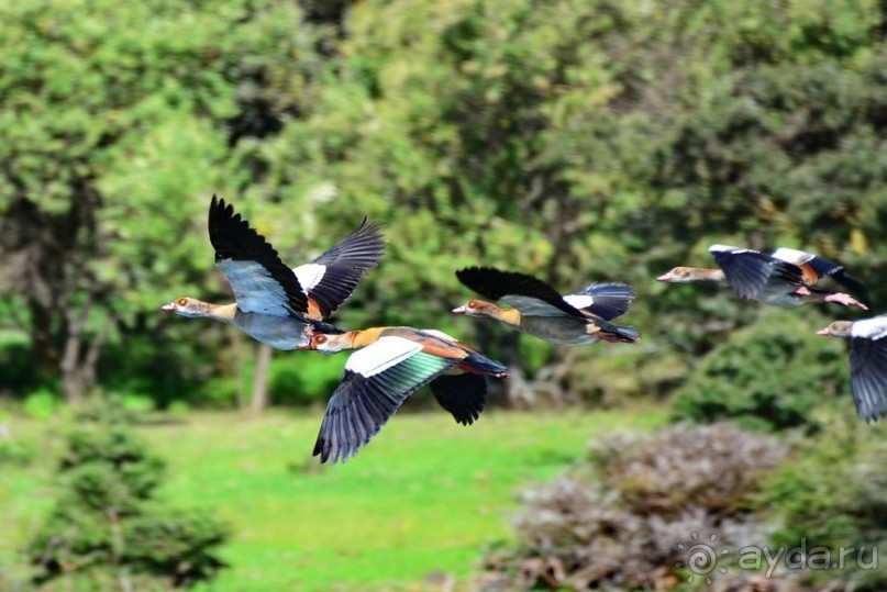 Акуна матата — дубль два. Кения в сезон дождей. Часть 2