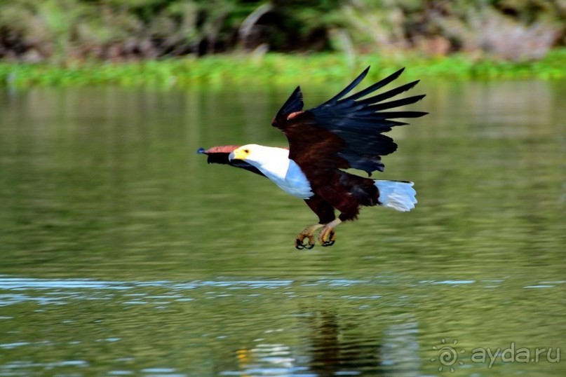 Акуна матата — дубль два. Кения в сезон дождей. Часть 2