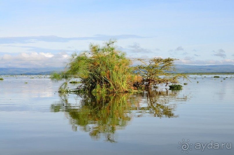 Акуна матата — дубль два. Кения в сезон дождей. Часть 2