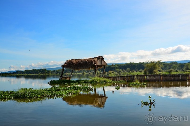 Акуна матата — дубль два. Кения в сезон дождей. Часть 2