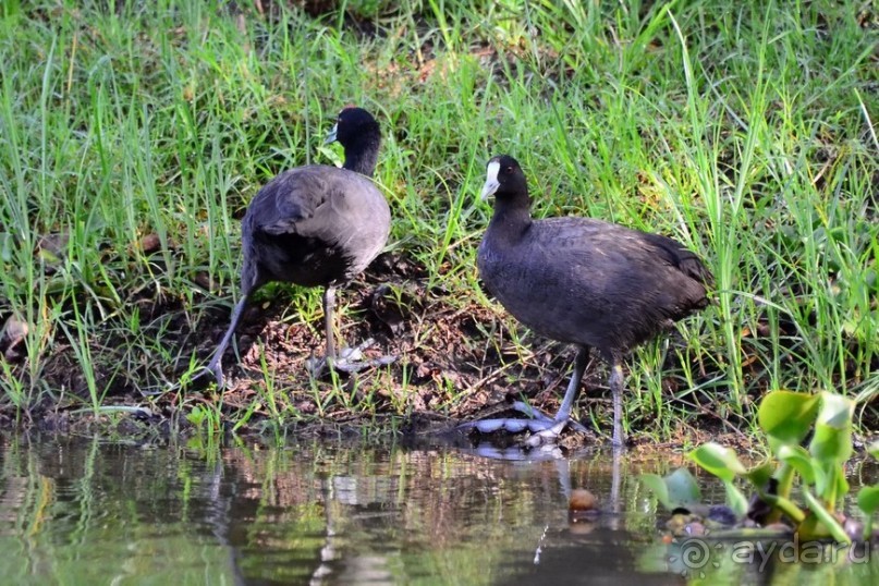 Акуна матата — дубль два. Кения в сезон дождей. Часть 2